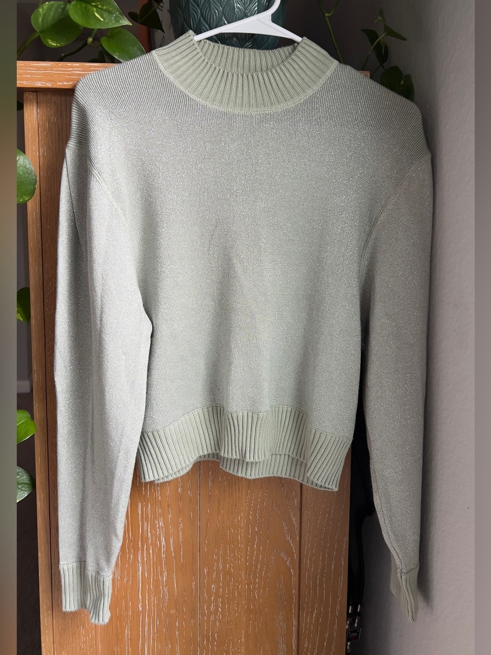 Free People Sage Crewneck Sweater with Subtle Shine